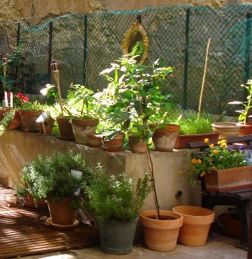 [Cruzyhouse%2520-%2520Courtyard-2%2520%2528800x600%2529%255B6%255D.jpg]