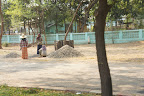 DSC01426.JPG