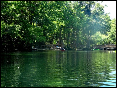 Wekiwa Springs State Park (28)