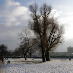 pb300144.jpg
