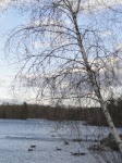 DSC02979_new.jpg