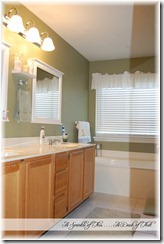 master bath vanity before