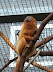 National Zoo in August