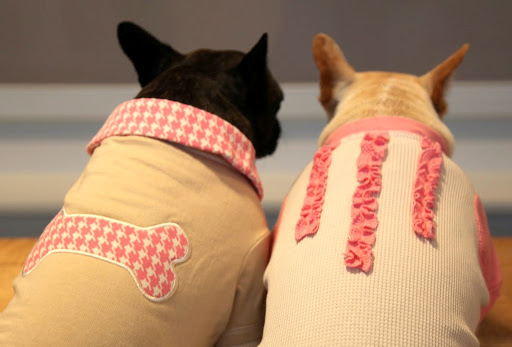 Yes, Franny, and I love the ruffle detail on the back of mine.  And the houndstooth print on your polo is lovely and so appropriate!