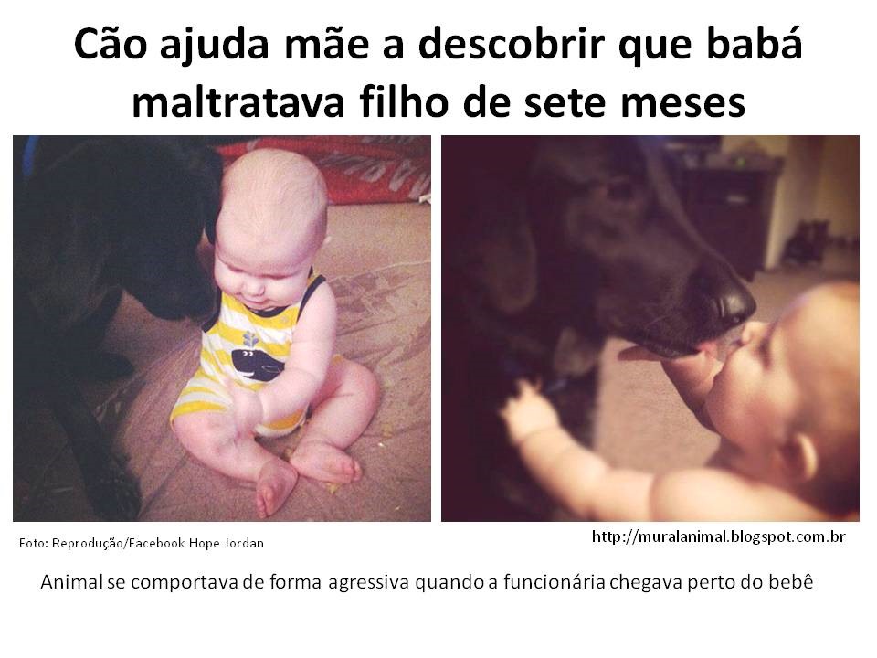 [cao-bebe%255B3%255D.jpg]