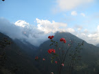 View from the trail- Day 5