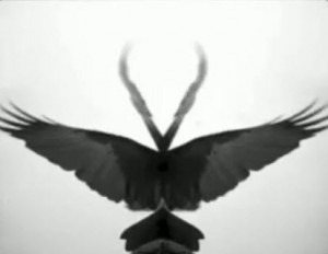 [ontothe7-e12625569597185.jpg]