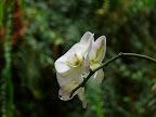p1300354751(3).jpg