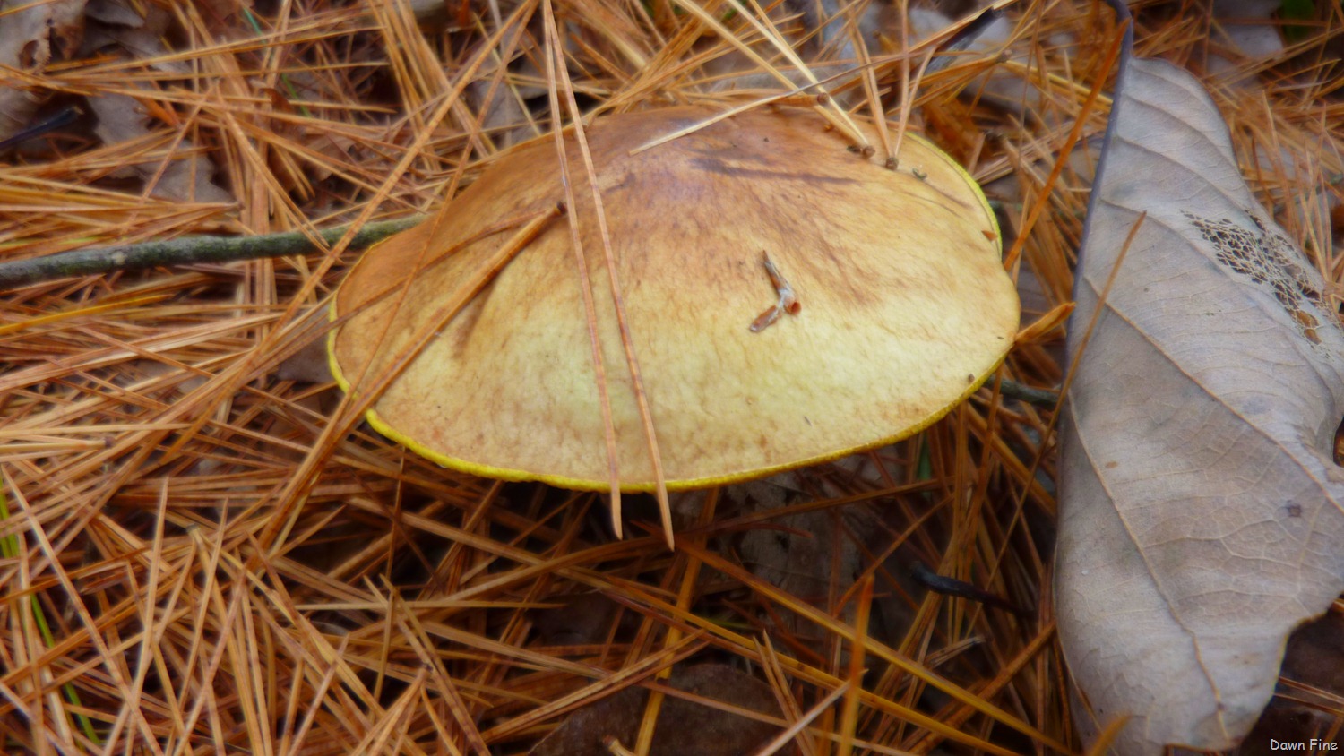 [Lantern-Hill-Hike_0494.jpg]