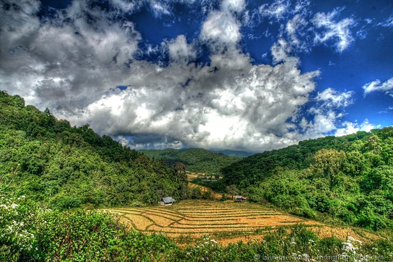 Rice paddies Doi Inthanon