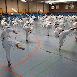 H25D2990.JPG