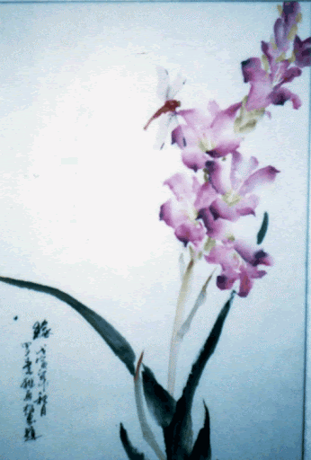 Luo Suya