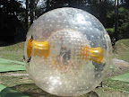 Zorb