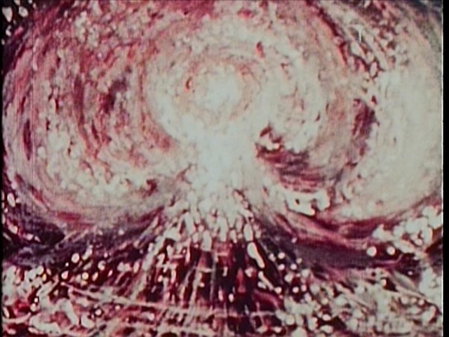[ShortVisionMushroomCloud3.jpg]
