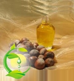 Hazelnut oil