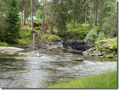river dee near the linn