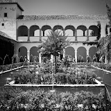 IMG_3159.jpg