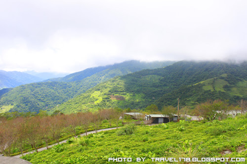 台東太麻里忘憂谷金針山花海 台東太麻里忘憂谷金針山花海