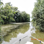 DSCN7289.JPG