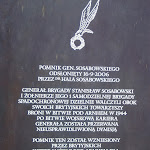 DSC00497.JPG - 26.05.2013. Driel - Polenplein - tablica informcyjna przy pomniku gen. Stanisława Sosabowskiego