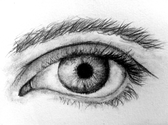 eye study