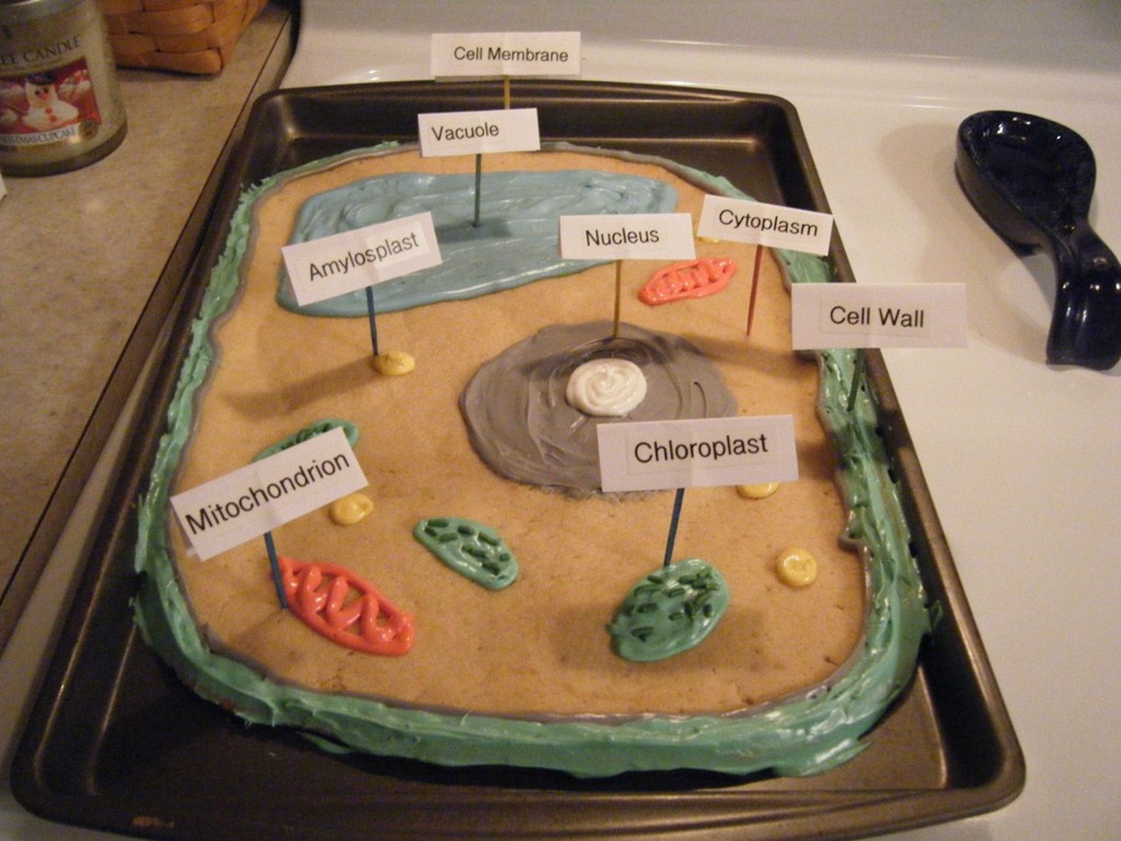 [plant_cell_cookie%255B4%255D.jpg]