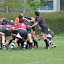 IMG_0341-20110520.JPG