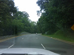 IMG00151-20090801-1214.jpg