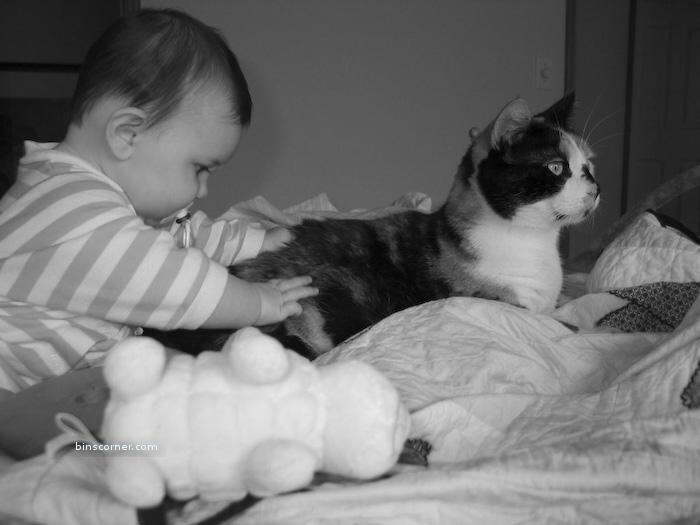 So Sweet Photos : You will smile for sure