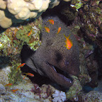 IMG_9576.JPG
