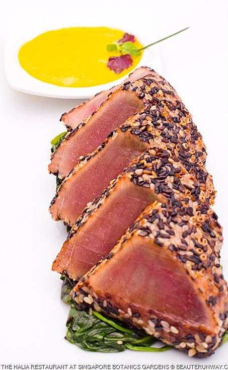Halia Restaurant blue fin tuna tatak Black and white sesame seed crustedi marinated in soy,