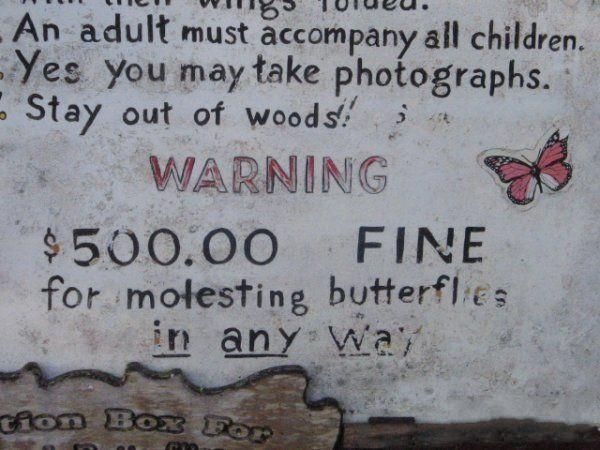[butterfly%255B6%255D.jpg]