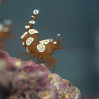DSC_2201.jpg