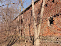 dsc06280.jpg