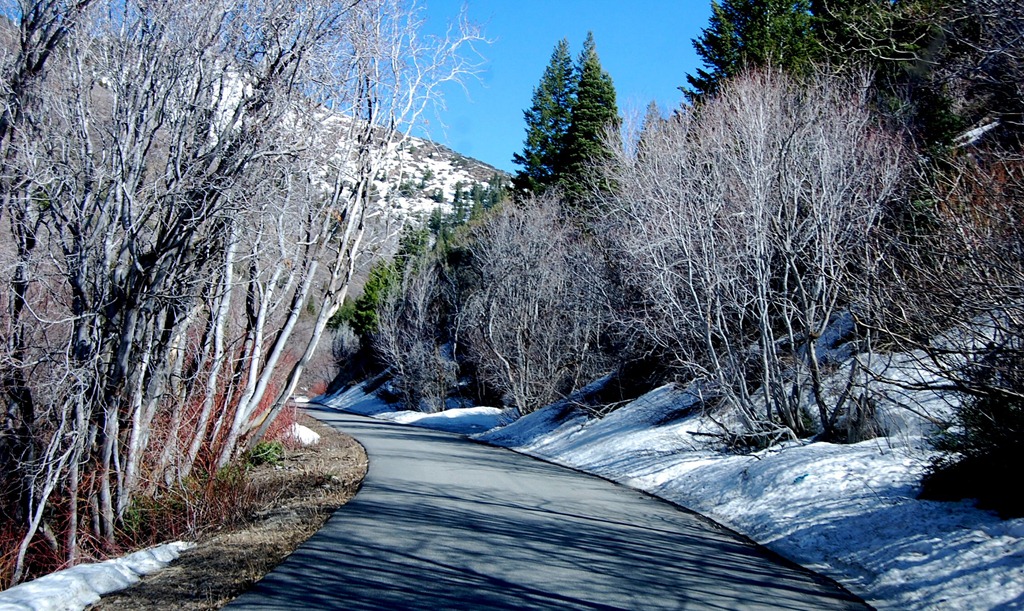 [may2011lambscanyon5%255B3%255D.jpg]