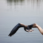 IMG_0766.JPG