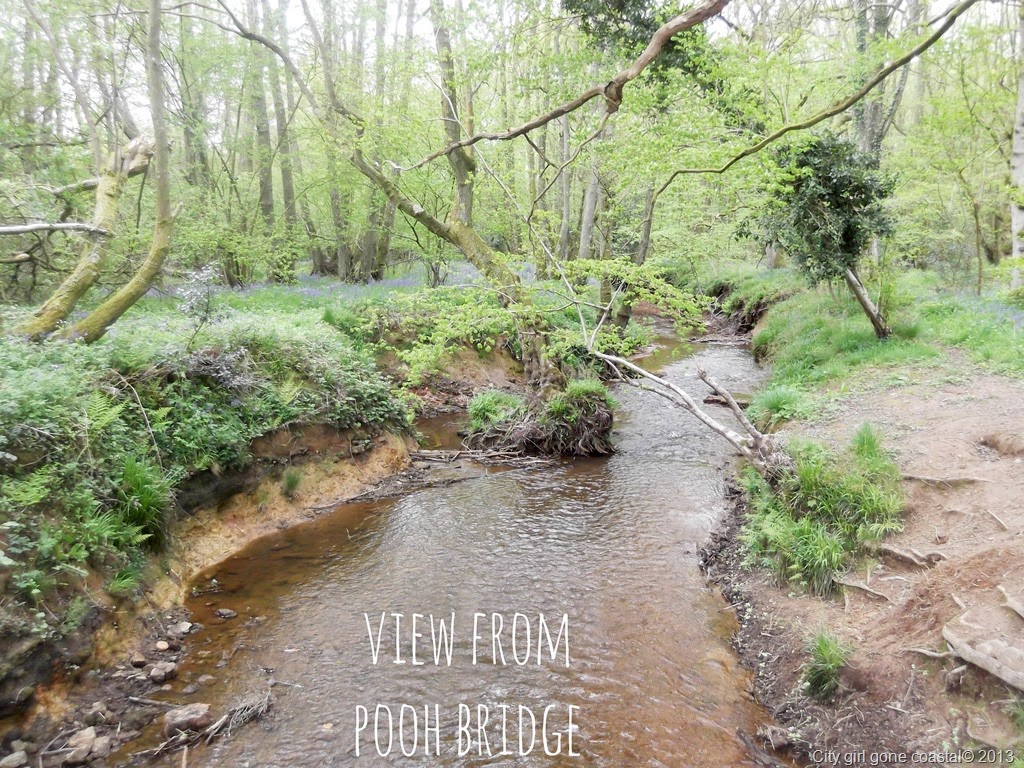[view%2520from%2520pooh%2520bridge%255B7%255D.jpg]