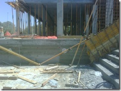 IMG00459-20110621-1536