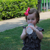 IMG_4587.jpg