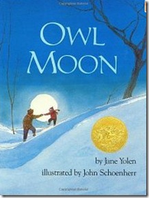 owl moon owl moon