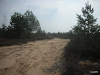 DSCN6255.JPG Photo