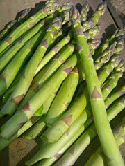 Asparagus