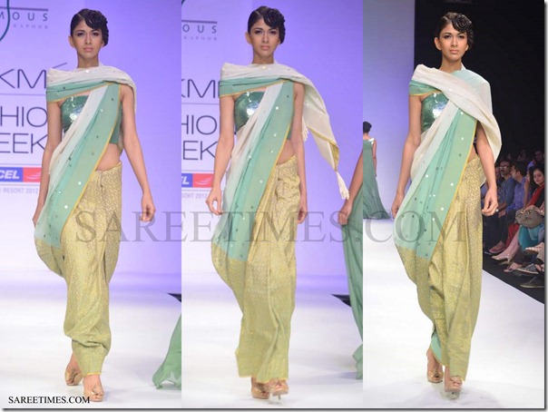 Payal_Kapoor_Sari