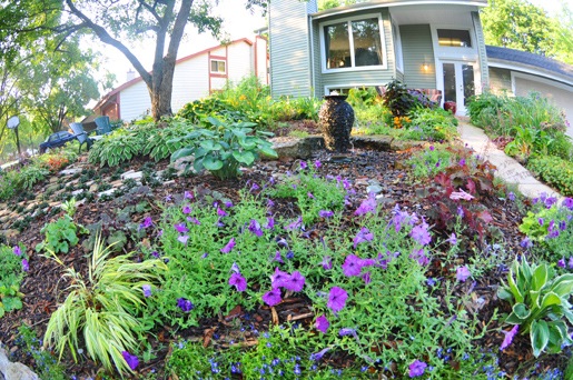 [Petunias%2520and%2520the%2520house%255B4%255D.jpg]
