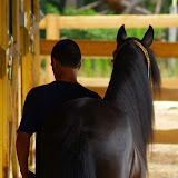 RIDE at Rancho Alegre: Boarding, Riding Lessons, & Instructors
