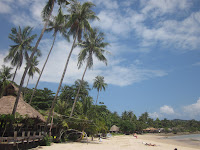 IMG_0773.JPG