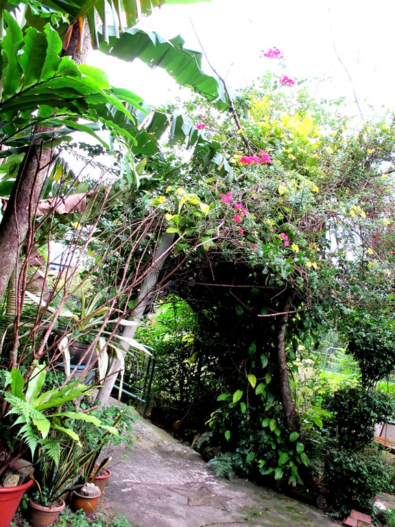 [IMG_6152%255B3%255D.jpg]