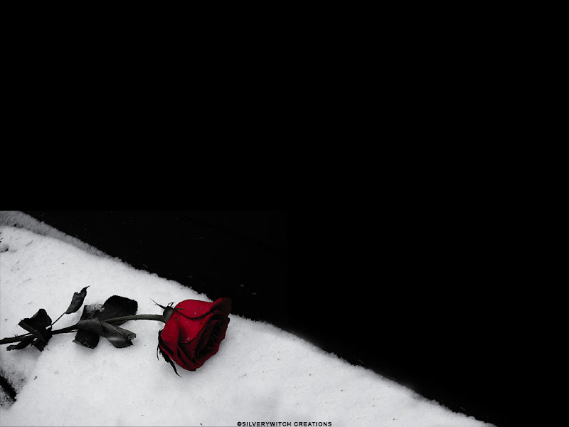 Gothic Rose, Gothic Girls