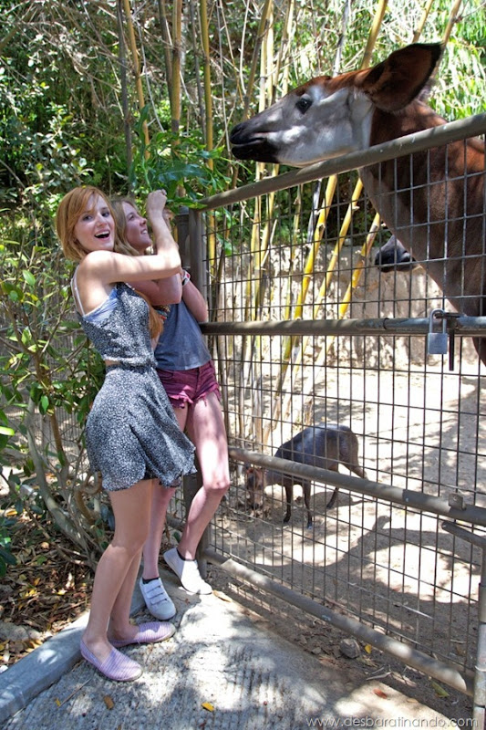 bella-thorne-sexta-proibida-sensual-sexy-sedutora-novinha-desbaratinando (34) bella-thorne-sexta-proibida-sensual-sexy-sedutora-novinha-desbaratinando (34)