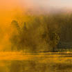 Warm Highlights V2.jpg